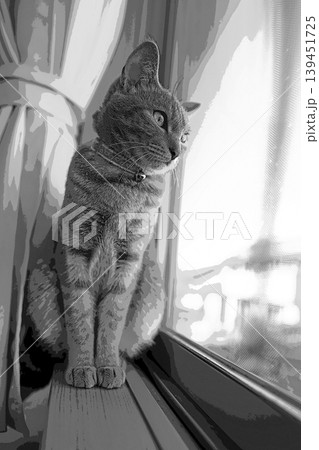 スケッチ風 猫 ネコ ねこ キジトラ グレー 雌 メス 雌ねこ 雌ネコ 元気 かわいい 癒し 139451725