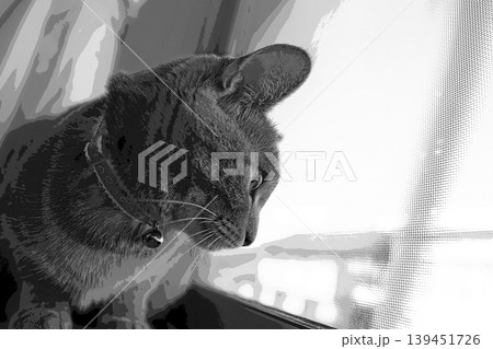 スケッチ風 猫 ネコ ねこ キジトラ グレー 雌 メス 雌ねこ 雌ネコ 元気 かわいい 癒し 139451726