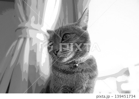 スケッチ風 猫 ネコ ねこ キジトラ グレー 雌 メス 雌ねこ 雌ネコ 元気 かわいい 癒し スケッチ風 猫 ネコ ねこ キジトラ グレー 雌 メス 雌ねこ 雌ネコ 元気 かわいい 癒し 139451734