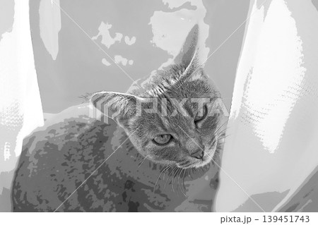 スケッチ風 猫 ネコ ねこ キジトラ グレー 雌 メス 雌ねこ 雌ネコ 元気 かわいい 癒し 139451743