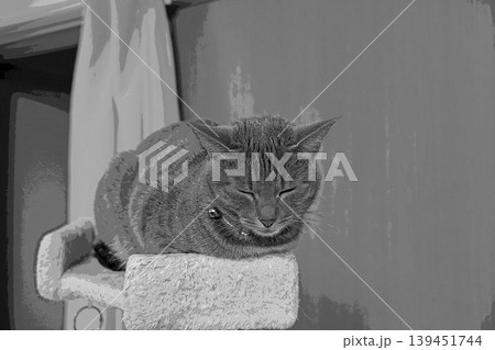 スケッチ風 猫 ネコ ねこ キジトラ グレー 雌 メス 雌ねこ 雌ネコ 元気 かわいい 癒し 139451744