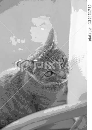 スケッチ風 猫 ネコ ねこ キジトラ グレー 雌 メス 雌ねこ 雌ネコ 元気 かわいい 癒し 139451750