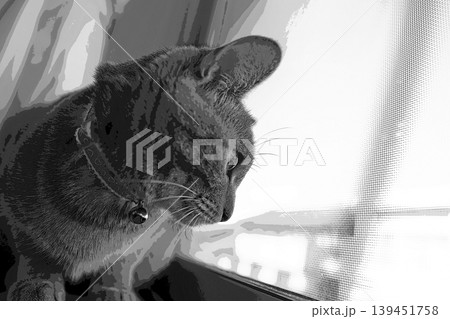 スケッチ風 猫 ネコ ねこ キジトラ グレー 雌 メス 雌ねこ 雌ネコ 元気 かわいい 癒し スケッチ風 猫 ネコ ねこ キジトラ グレー 雌 メス 雌ねこ 雌ネコ 元気 かわいい 癒し 139451758