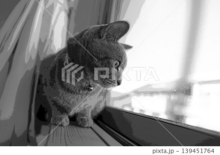 スケッチ風 猫 ネコ ねこ キジトラ グレー 雌 メス 雌ねこ 雌ネコ 元気 かわいい 癒し 139451764
