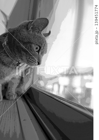 スケッチ風 猫 ネコ ねこ キジトラ グレー 雌 メス 雌ねこ 雌ネコ 元気 かわいい 癒し スケッチ風 猫 ネコ ねこ キジトラ グレー 雌 メス 雌ねこ 雌ネコ 元気 かわいい 癒し 139451774
