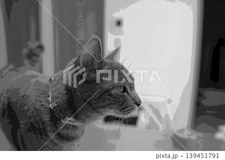 スケッチ風 猫 ネコ ねこ キジトラ グレー 雌 メス 雌ねこ 雌ネコ 元気 かわいい 癒し スケッチ風 猫 ネコ ねこ キジトラ グレー 雌 メス 雌ねこ 雌ネコ 元気 かわいい 癒し 139451791