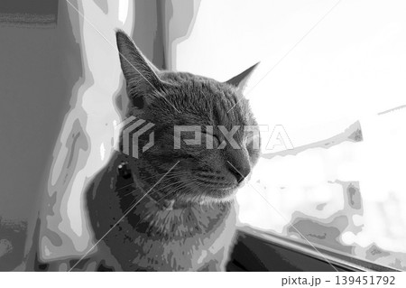 スケッチ風 猫 ネコ ねこ キジトラ グレー 雌 メス 雌ねこ 雌ネコ 元気 かわいい 癒し スケッチ風 猫 ネコ ねこ キジトラ グレー 雌 メス 雌ねこ 雌ネコ 元気 かわいい 癒し 139451792
