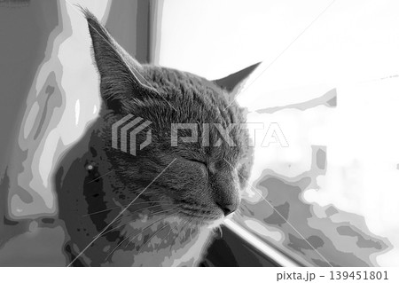 スケッチ風 猫 ネコ ねこ キジトラ グレー 雌 メス 雌ねこ 雌ネコ 元気 かわいい 癒し スケッチ風 猫 ネコ ねこ キジトラ グレー 雌 メス 雌ねこ 雌ネコ 元気 かわいい 癒し 139451801