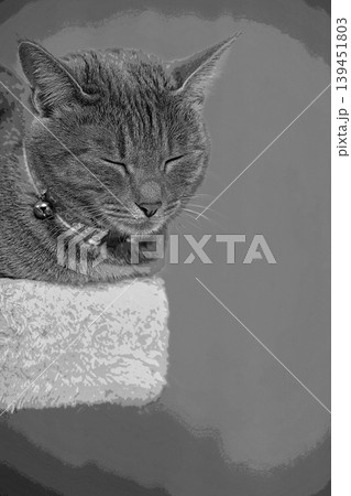 スケッチ風 猫 ネコ ねこ キジトラ グレー 雌 メス 雌ねこ 雌ネコ 元気 かわいい 癒し スケッチ風 猫 ネコ ねこ キジトラ グレー 雌 メス 雌ねこ 雌ネコ 元気 かわいい 癒し 139451803