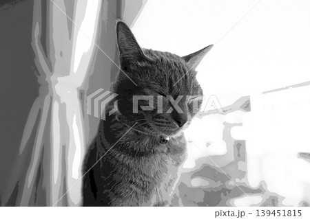 スケッチ風 猫 ネコ ねこ キジトラ グレー 雌 メス 雌ねこ 雌ネコ 元気 かわいい 癒し スケッチ風 猫 ネコ ねこ キジトラ グレー 雌 メス 雌ねこ 雌ネコ 元気 かわいい 癒し 139451815