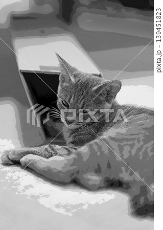 スケッチ風 猫 ネコ ねこ キジトラ グレー 雌 メス 雌ねこ 雌ネコ 元気 かわいい 癒し 139451823
