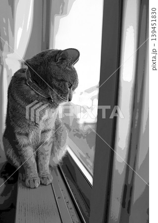 スケッチ風 猫 ネコ ねこ キジトラ グレー 雌 メス 雌ねこ 雌ネコ 元気 かわいい 癒し スケッチ風 猫 ネコ ねこ キジトラ グレー 雌 メス 雌ねこ 雌ネコ 元気 かわいい 癒し 139451830
