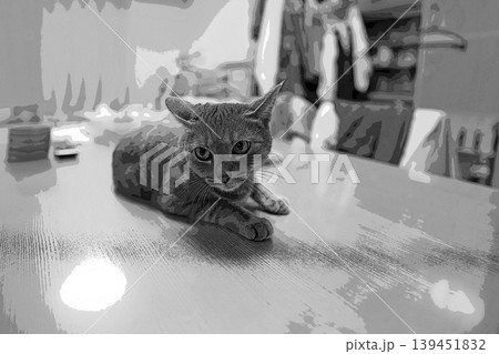 スケッチ風 猫 ネコ ねこ キジトラ グレー 雌 メス 雌ねこ 雌ネコ 元気 かわいい 癒し スケッチ風 猫 ネコ ねこ キジトラ グレー 雌 メス 雌ねこ 雌ネコ 元気 かわいい 癒し 139451832