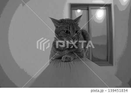 スケッチ風 猫 ネコ ねこ キジトラ グレー 雌 メス 雌ねこ 雌ネコ 元気 かわいい 癒し スケッチ風 猫 ネコ ねこ キジトラ グレー 雌 メス 雌ねこ 雌ネコ 元気 かわいい 癒し 139451834