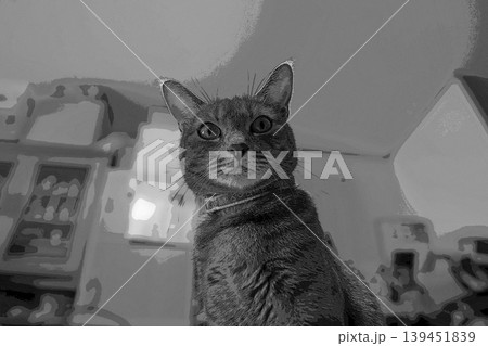 スケッチ風 猫 ネコ ねこ キジトラ グレー 雌 メス 雌ねこ 雌ネコ 元気 かわいい 癒し 139451839