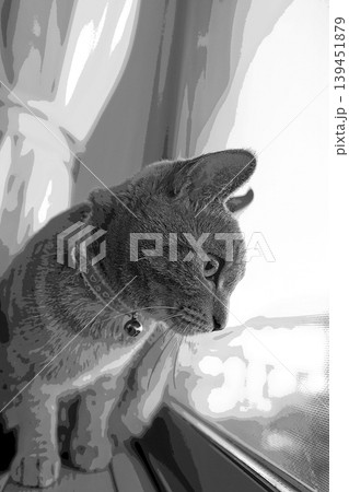 スケッチ風 猫 ネコ ねこ キジトラ グレー 雌 メス 雌ねこ 雌ネコ 元気 かわいい 癒し 139451879