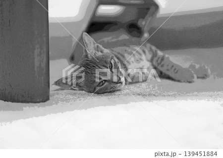 スケッチ風 猫 ネコ ねこ キジトラ グレー 雌 メス 雌ねこ 雌ネコ 元気 かわいい 癒し 139451884