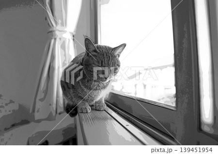 スケッチ風 猫 ネコ ねこ キジトラ グレー 雌 メス 雌ねこ 雌ネコ 元気 かわいい 癒し スケッチ風 猫 ネコ ねこ キジトラ グレー 雌 メス 雌ねこ 雌ネコ 元気 かわいい 癒し 139451954