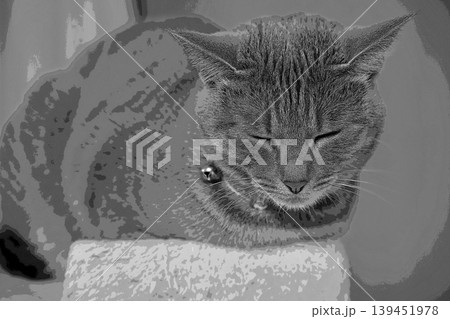 スケッチ風 猫 ネコ ねこ キジトラ グレー 雌 メス 雌ねこ 雌ネコ 元気 かわいい 癒し 139451978