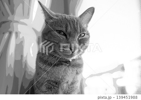 スケッチ風 猫 ネコ ねこ キジトラ グレー 雌 メス 雌ねこ 雌ネコ 元気 かわいい 癒し スケッチ風 猫 ネコ ねこ キジトラ グレー 雌 メス 雌ねこ 雌ネコ 元気 かわいい 癒し 139451988