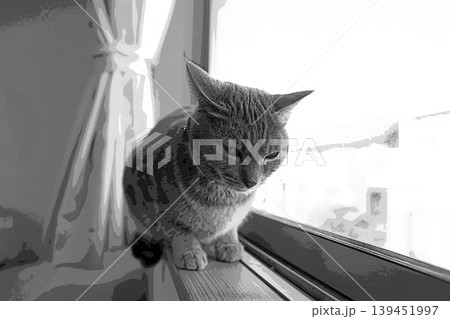 スケッチ風 猫 ネコ ねこ キジトラ グレー 雌 メス 雌ねこ 雌ネコ 元気 かわいい 癒し スケッチ風 猫 ネコ ねこ キジトラ グレー 雌 メス 雌ねこ 雌ネコ 元気 かわいい 癒し 139451997