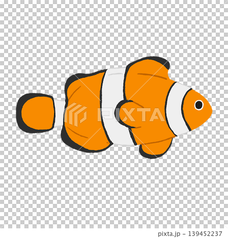 カクレクマノミ カクレクマノミ 139452237