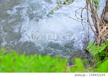 当間高原の麓 新緑の沢伝いの風景 新潟県十日町市 当間高原の麓 新緑の沢伝いの風景 新潟県十日町市 139452243