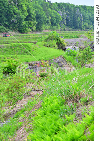 当間高原の麓の棚田　新緑の谷あいの田植風景　新潟県十日町市　　　 139452393