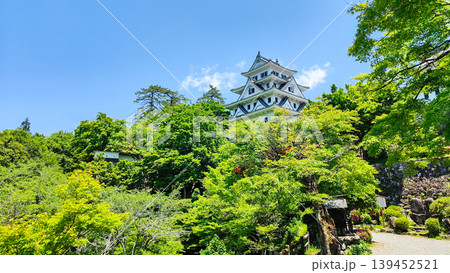 郡上八幡城 139452521