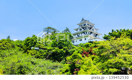郡上八幡城 139452530