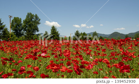 poppy poppy 139452930