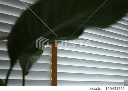 white window blinds and green leaf in home, object for decorate interior of house 139453363