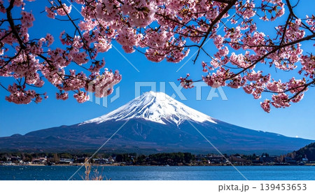 Fuji Mountain with sakura flower Fuji Mountain with sakura flower 139453653