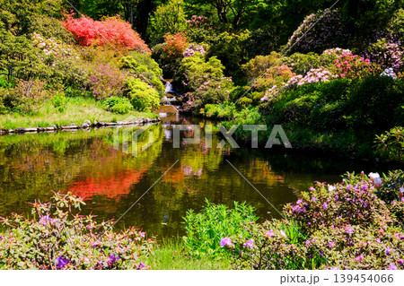 池と滝のある風景 139454066