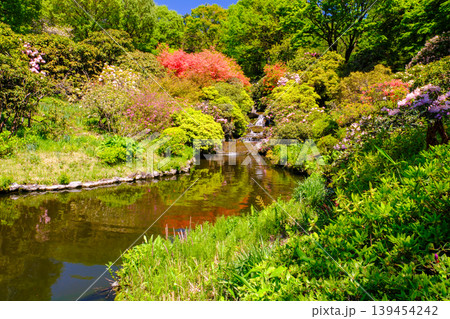 池のある庭園 139454242