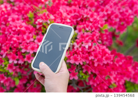 ツツジをスマホで撮影する女性の手 ツツジをスマホで撮影する女性の手 139454568
