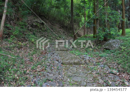 明智城 桔梗坂の登山道(岐阜県可児市) 明智城 桔梗坂の登山道(岐阜県可児市) 139454577