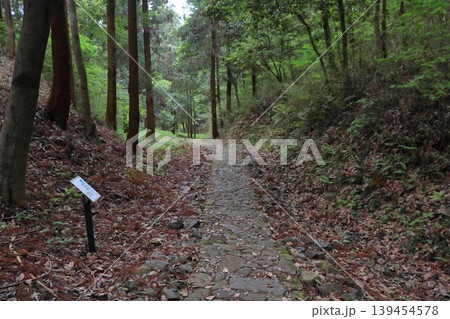 明智城 桔梗坂の登山道（岐阜県可児市） 139454578
