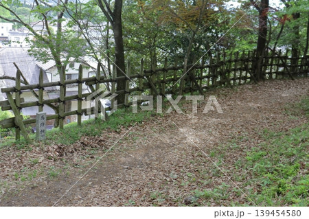 明智城 本丸の馬守柵（岐阜県可児市） 139454580