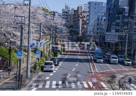 桜が満開の飛鳥山交差点の交通【交通イメージ】 139454695