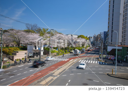 桜が満開の飛鳥山交差点の交通【交通イメージ】 139454723