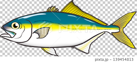 魚イラスト 「ワカシ(ブリの子)」ややデフォルメ・輪郭あり ベクター形式 白背景(pngは背景透過) 魚イラスト 「ワカシ(ブリの子)」ややデフォルメ・輪郭あり ベクター形式 白背景(pngは背景透過) 139454813