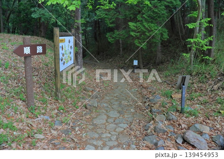 明智城 桔梗坂の登山道 下山方面(岐阜県可児市) 明智城 桔梗坂の登山道 下山方面(岐阜県可児市) 139454953