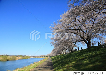 河川　白石川 139455111
