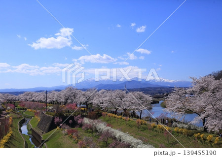 桜　一目千本桜 139455190