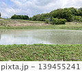 田植えが終わったばかりの田んぼ 139455241