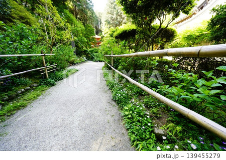 岩船寺境内春景色 岩船寺境内春景色 139455279