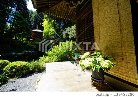 岩船寺境内春景色 岩船寺境内春景色 139455280