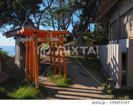 淡路島・西濱神社の稲荷鳥居と木漏れ日が美しい海辺の参道風景 淡路島・西濱神社の稲荷鳥居と木漏れ日が美しい海辺の参道風景 139455347