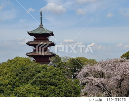 池上本門寺の五重塔と桜 池上本門寺の五重塔と桜 139455976